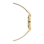 Montre Daniel Wellington - Petite Evergold