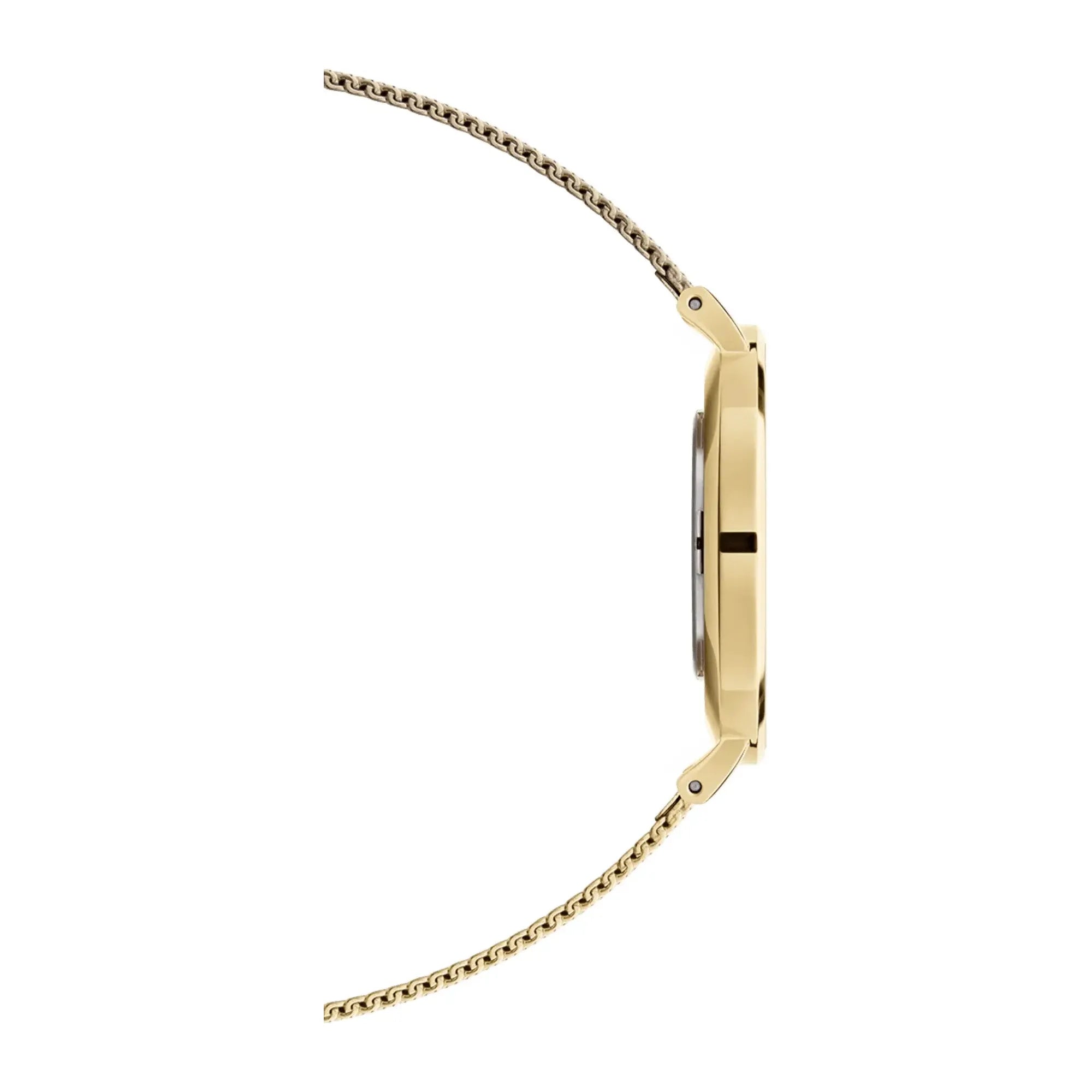 Montre Daniel Wellington - Petite Evergold