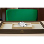 Montre Rolex - Datejust Blanc - 41mm